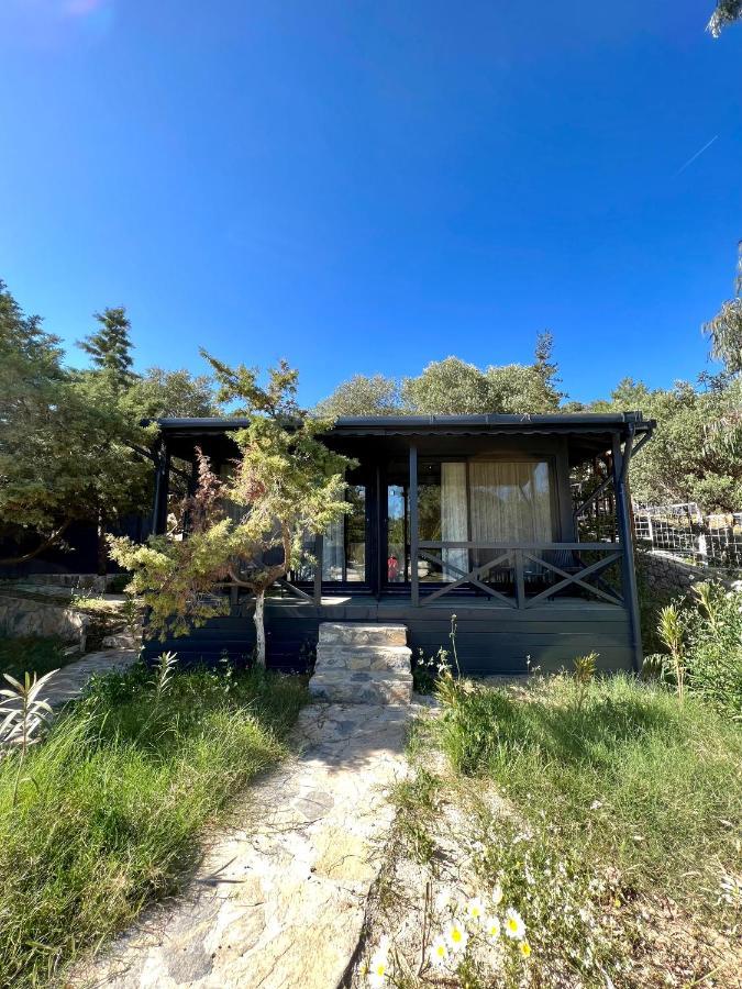 Otel Beyaz Inci Palamutbükü Eksteriør bilde